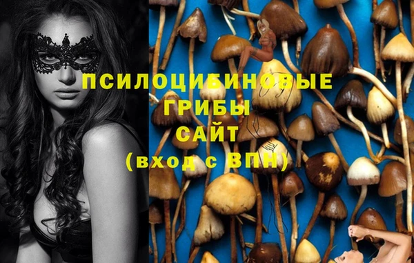 каннабис Алзамай
