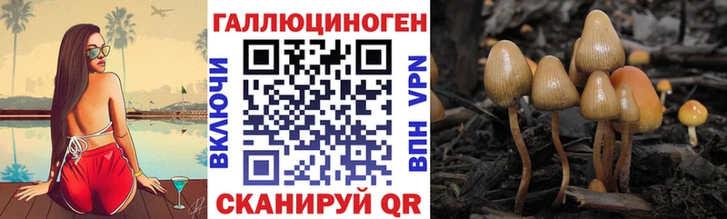 как найти закладки  Кочубеевское  blacksprut онион  Галлюциногенные грибы Cubensis 